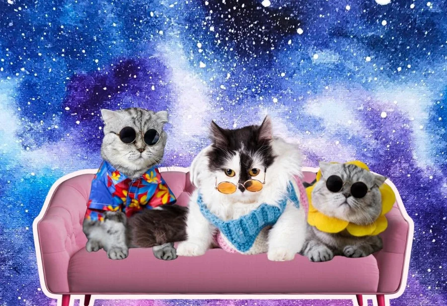 Three cats on a pink couch in a starry galaxy