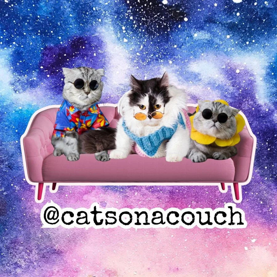 Cats on a Couch starry artwork